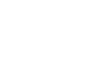 logo sticky